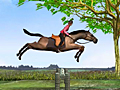 Horse Jumping