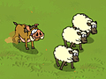 Кабан и овцы