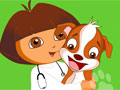 Даша - доктор для животных